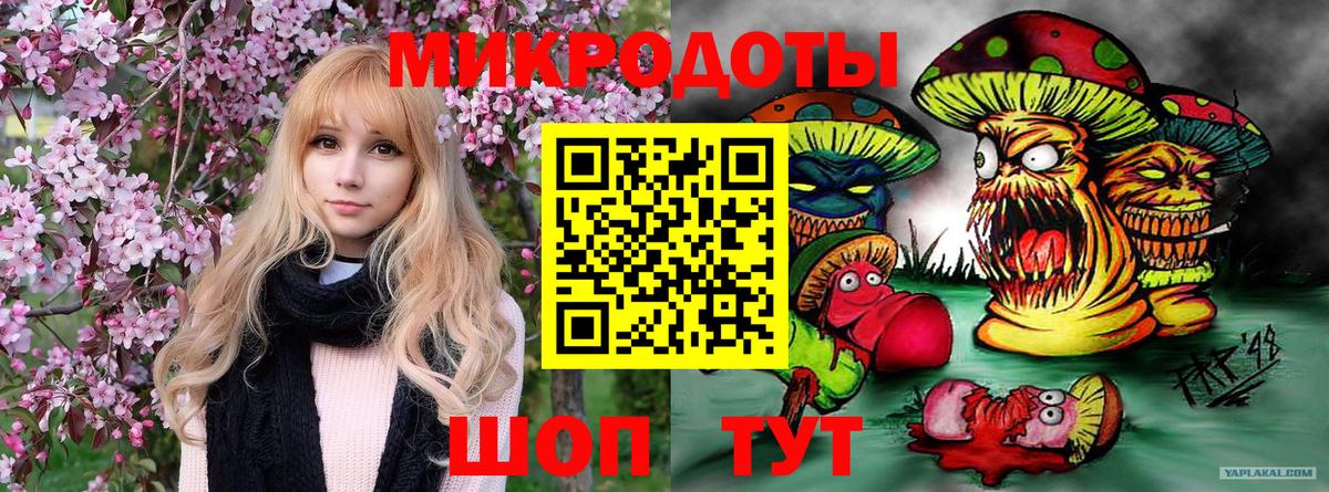 Галлюциногенные грибы прущие грибы Кисловодск