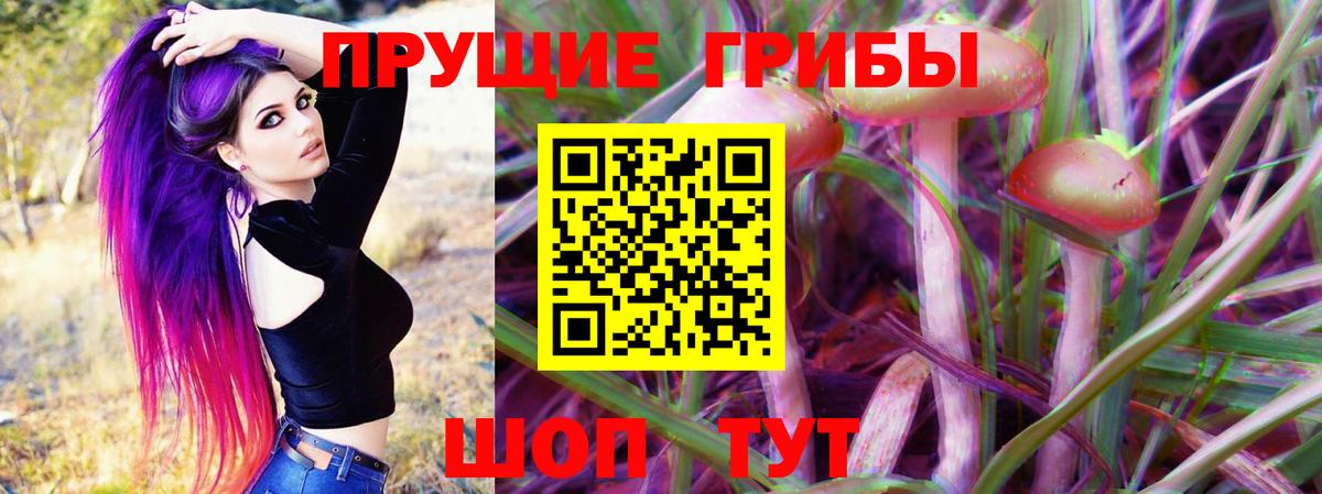 Псилоцибиновые грибы прущие грибы  Вход с VPN  Псилоцибиновые грибы ЛСД  Кисловодск 